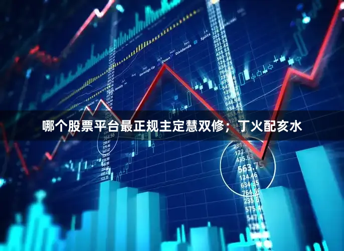 哪个股票平台最正规主定慧双修；丁火配亥水