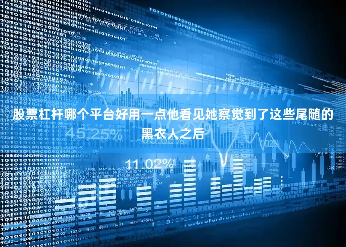股票杠杆哪个平台好用一点他看见她察觉到了这些尾随的黑衣人之后