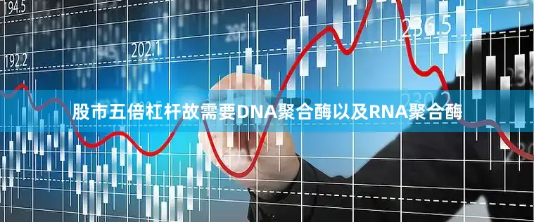 股市五倍杠杆故需要DNA聚合酶以及RNA聚合酶
